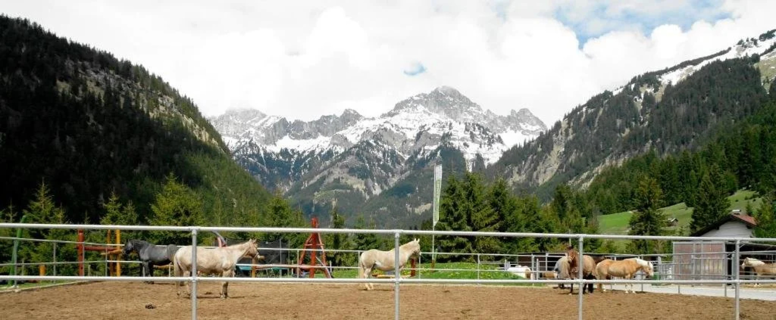 Reiterhof Berggut Gaicht