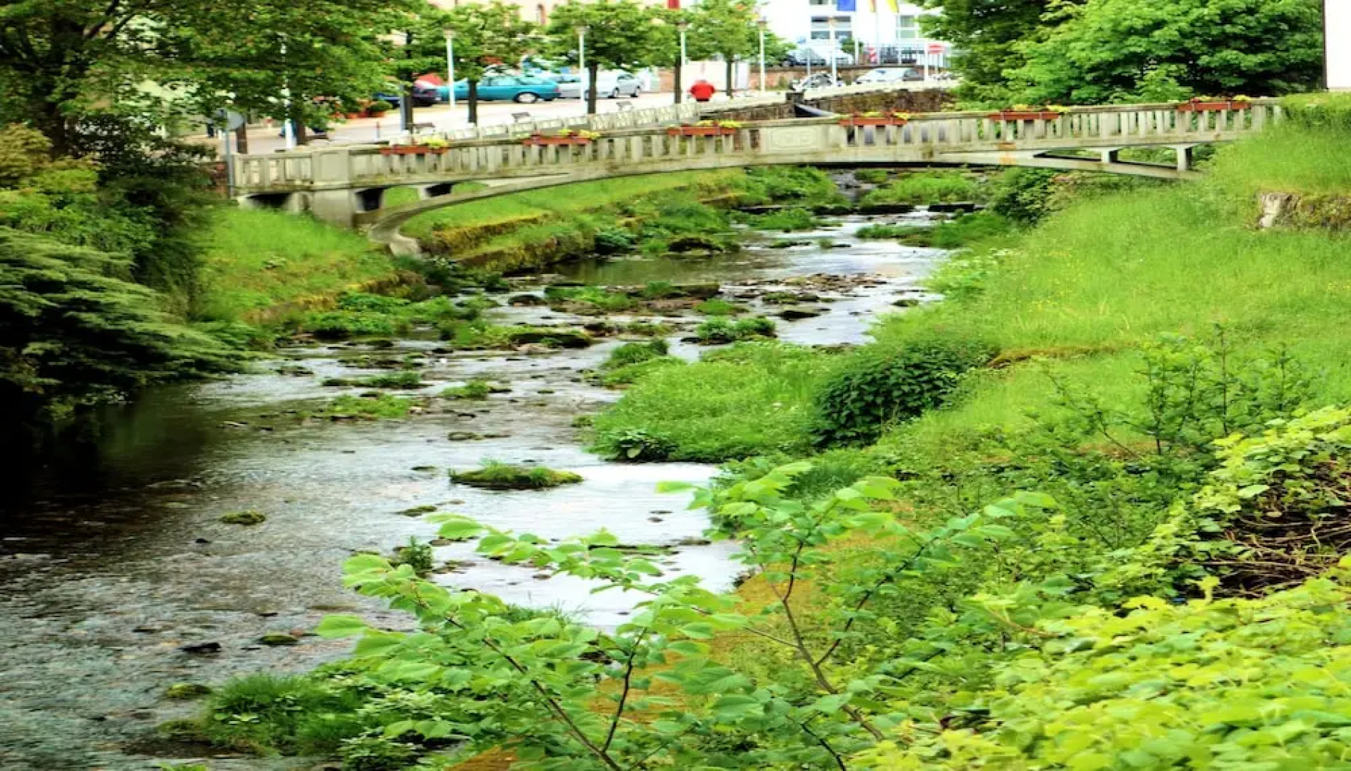 Silberburg Bad Wildbad