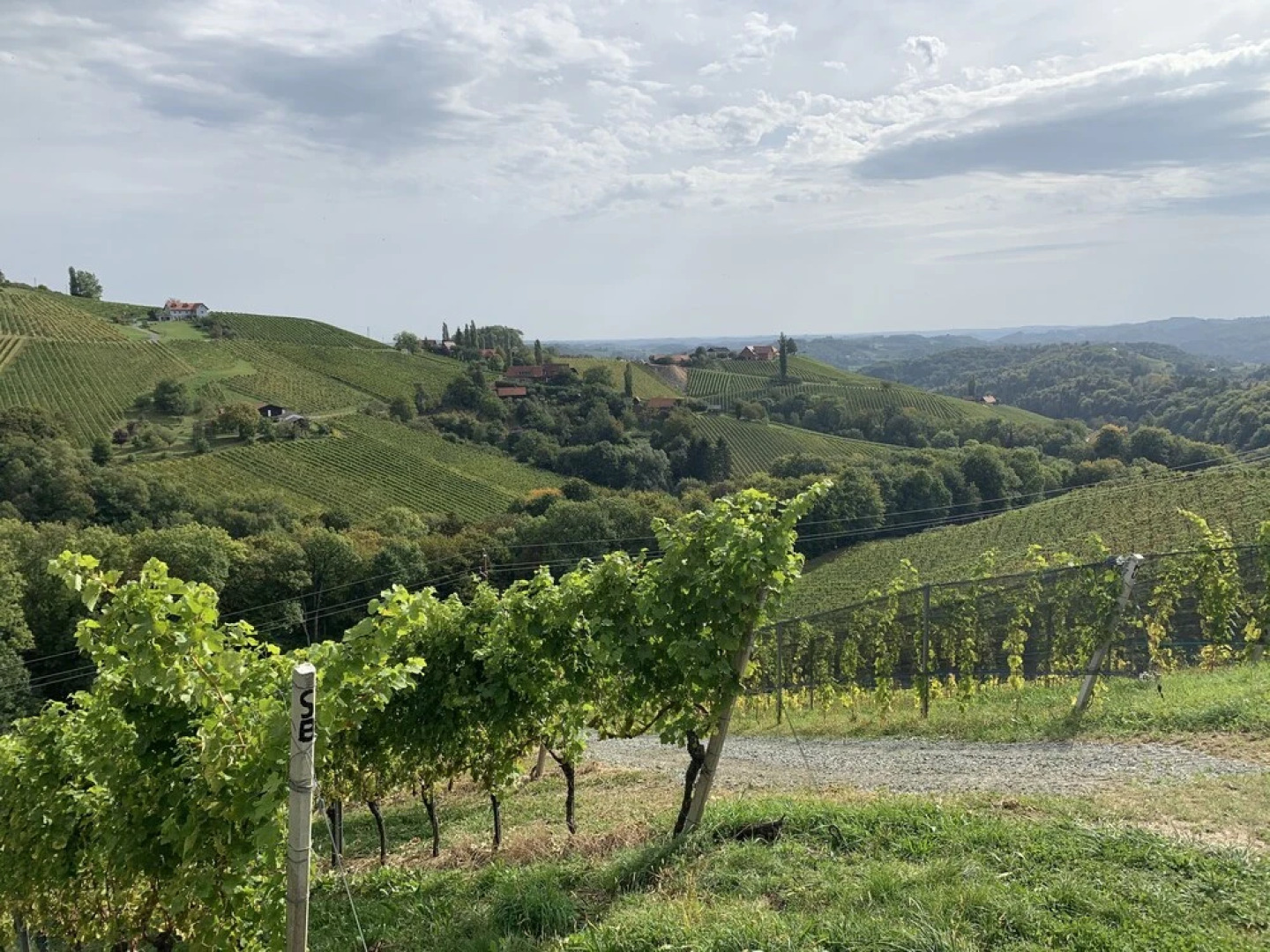Apartment Weingartenblick