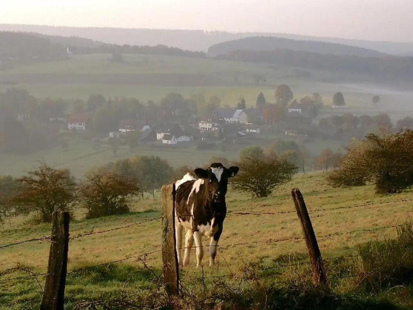 Cafe-Restaurant Vedder