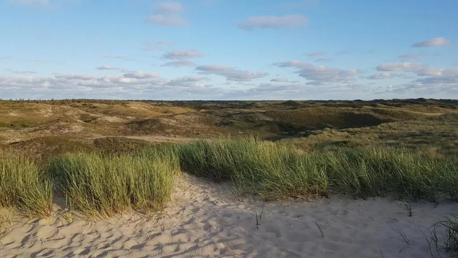 Hotel Brasserie Den Burg