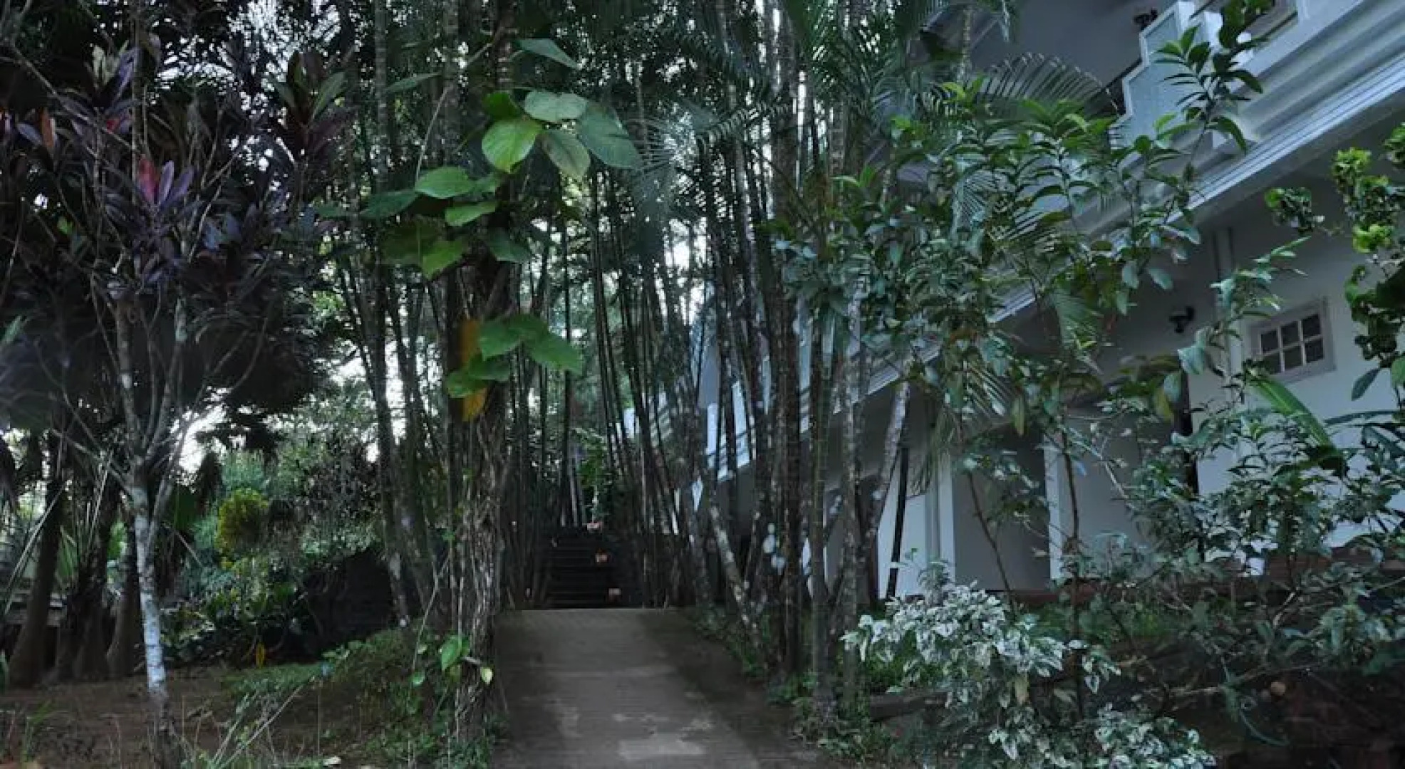 Vythiri Thadakam Resorts