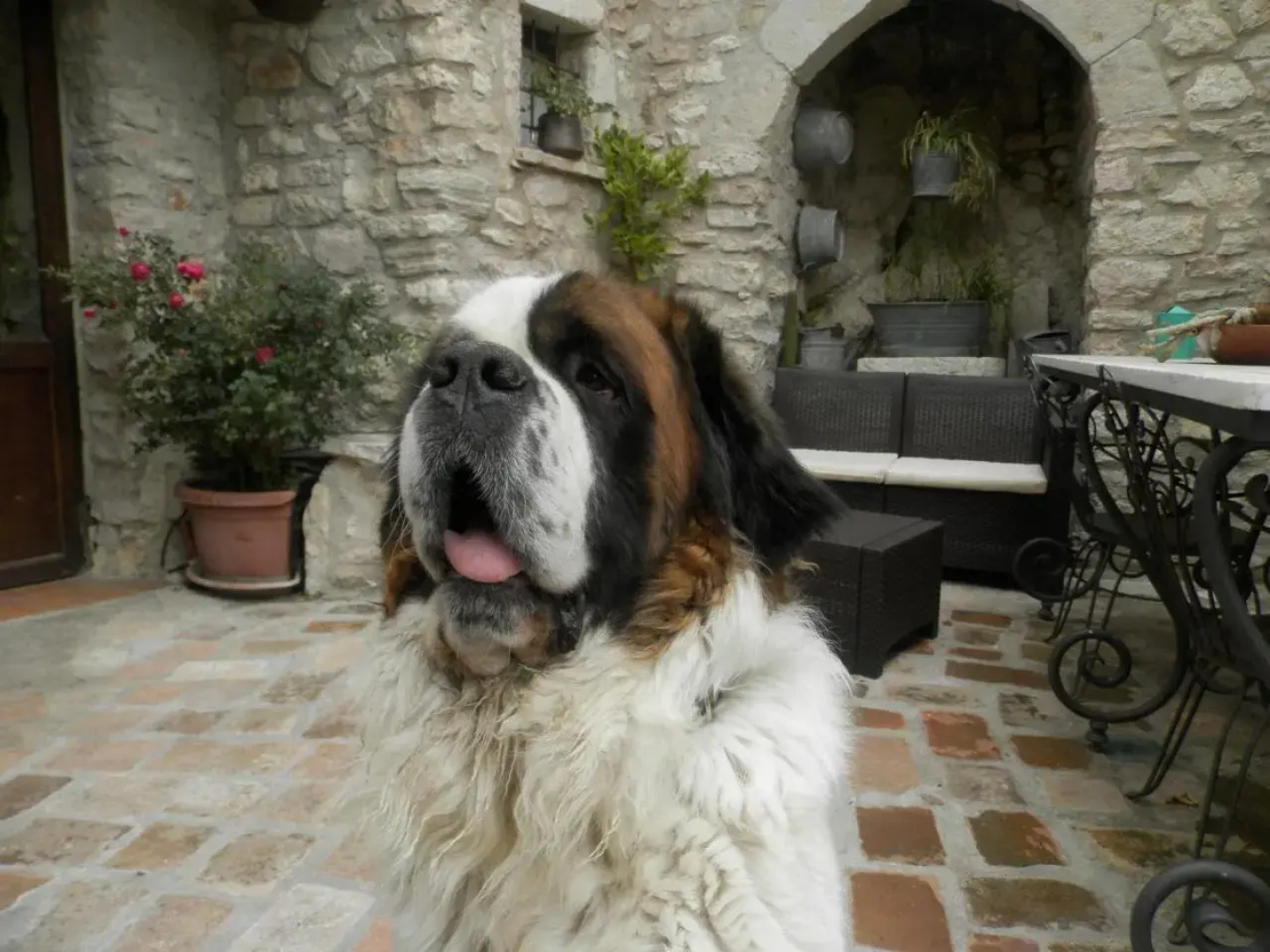 Residenza di Paese Castello del Poggio