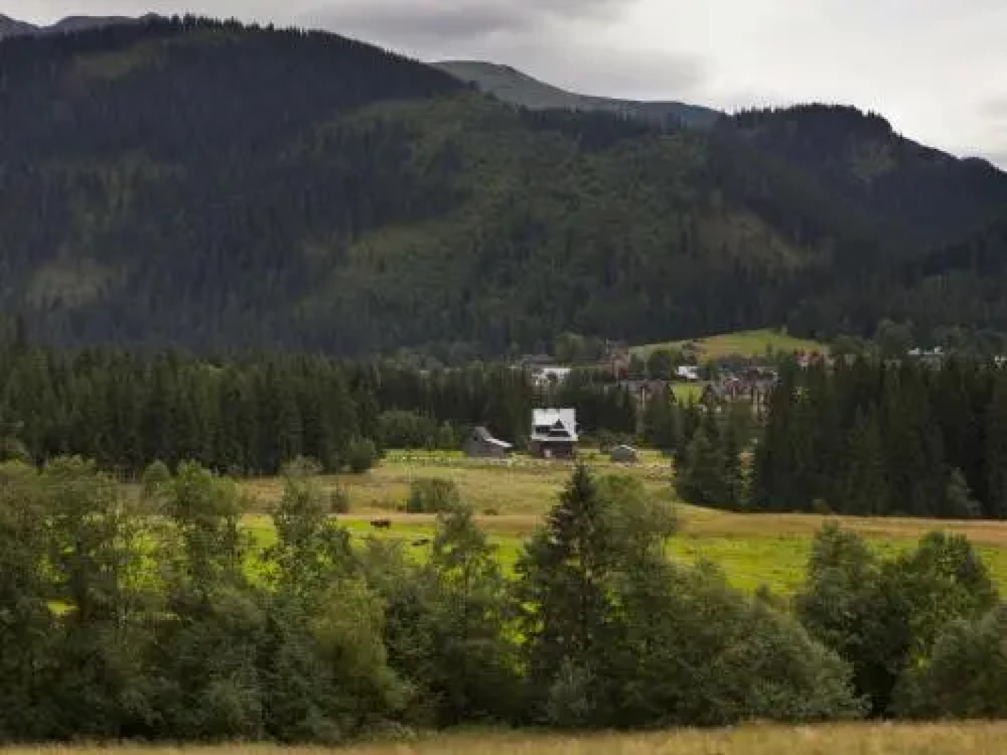 Apartamenty Domino - Kościelisko