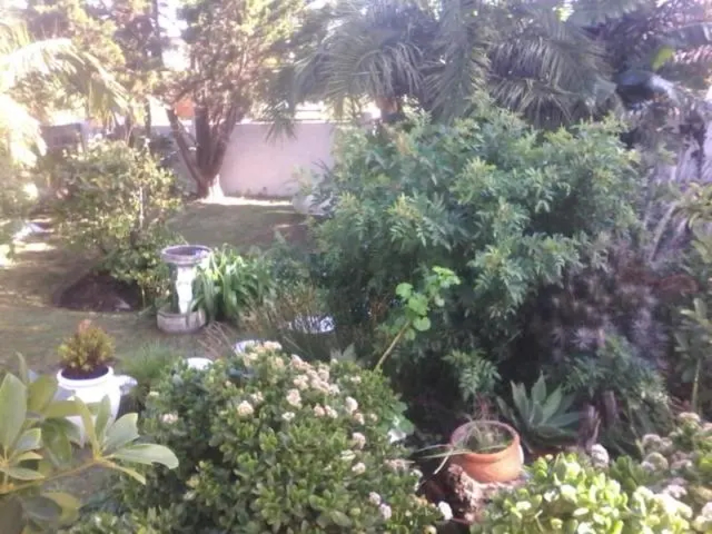 40 on Main Self Catering