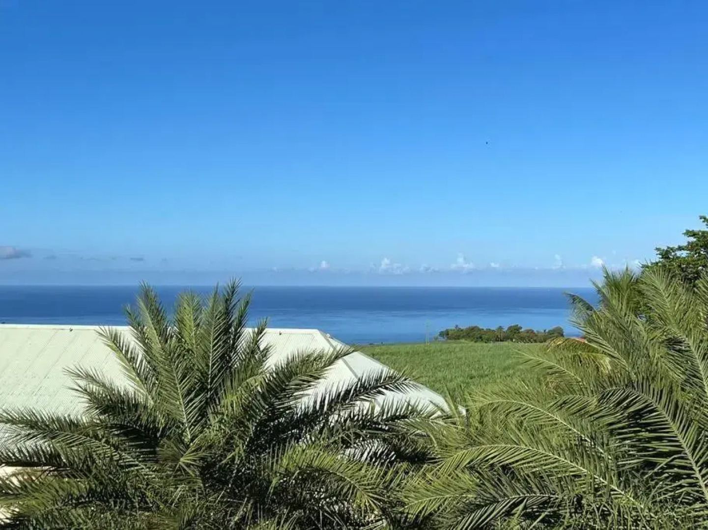 Zabana Lodge, dans un jardin tropical avec piscine