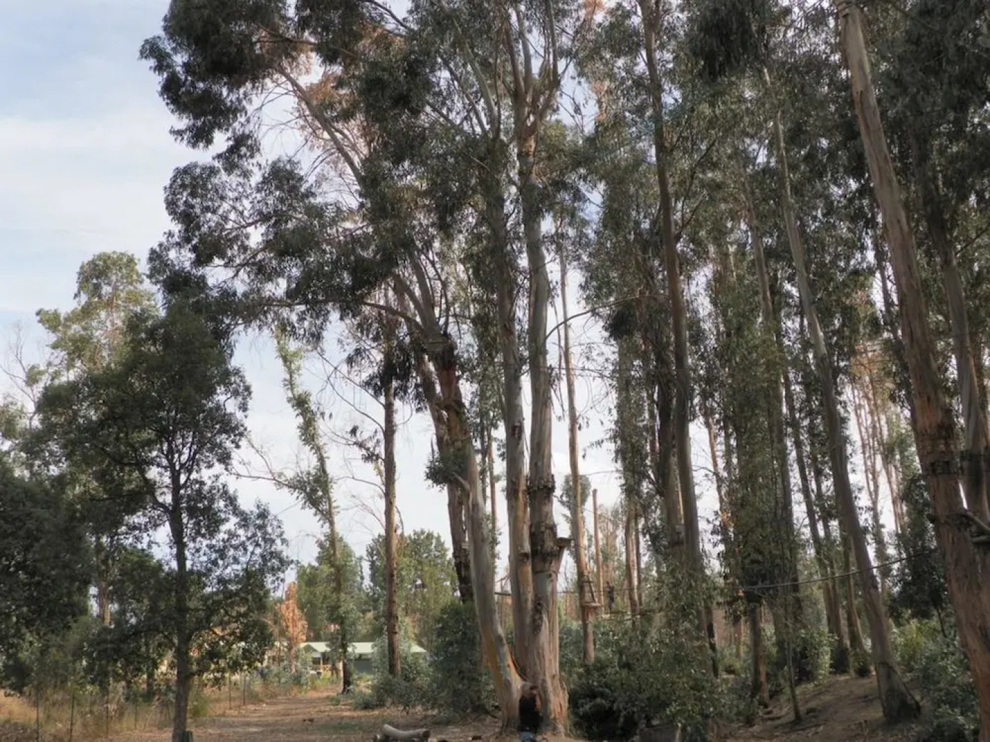 House With 2 Bedrooms in Poggio-mezzana, With Wonderful sea View, Encl