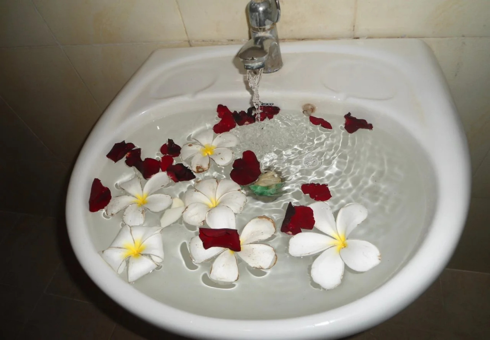 Jasmine Garden Villa