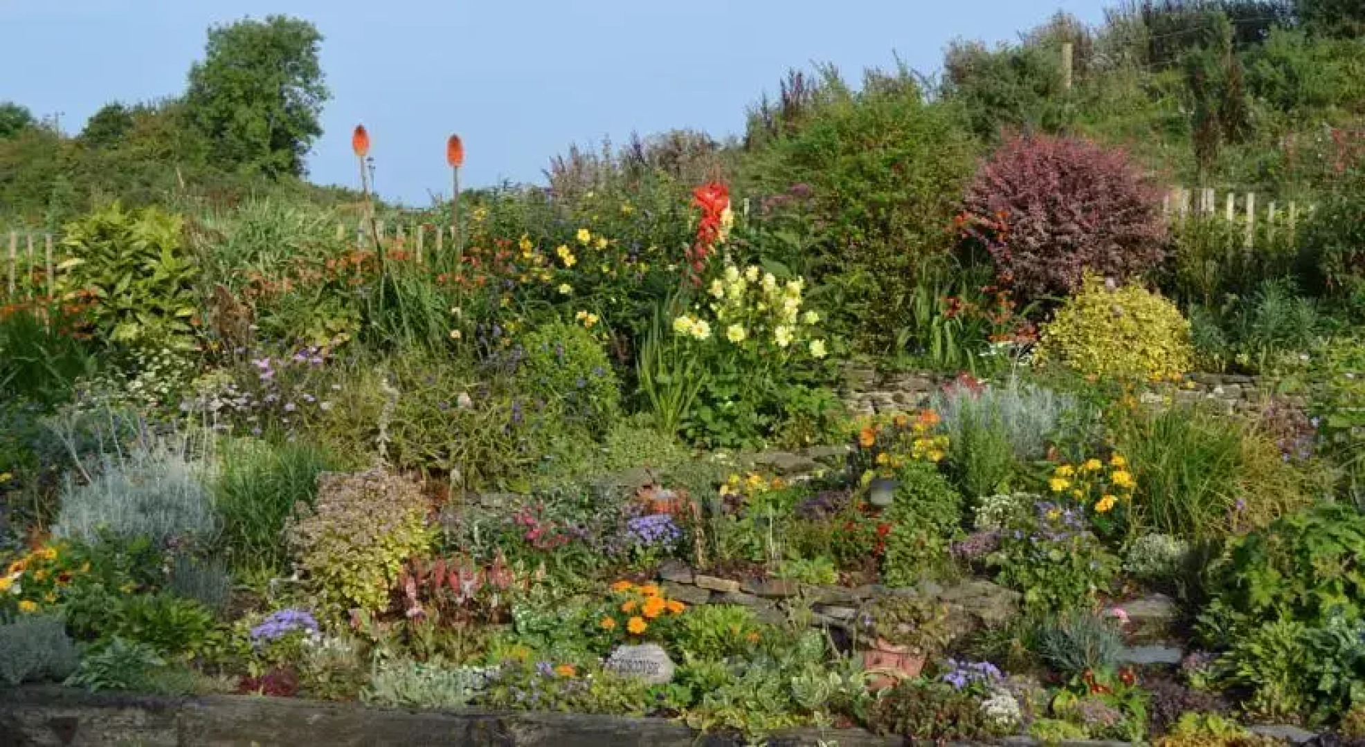 Tinnycross House B&B