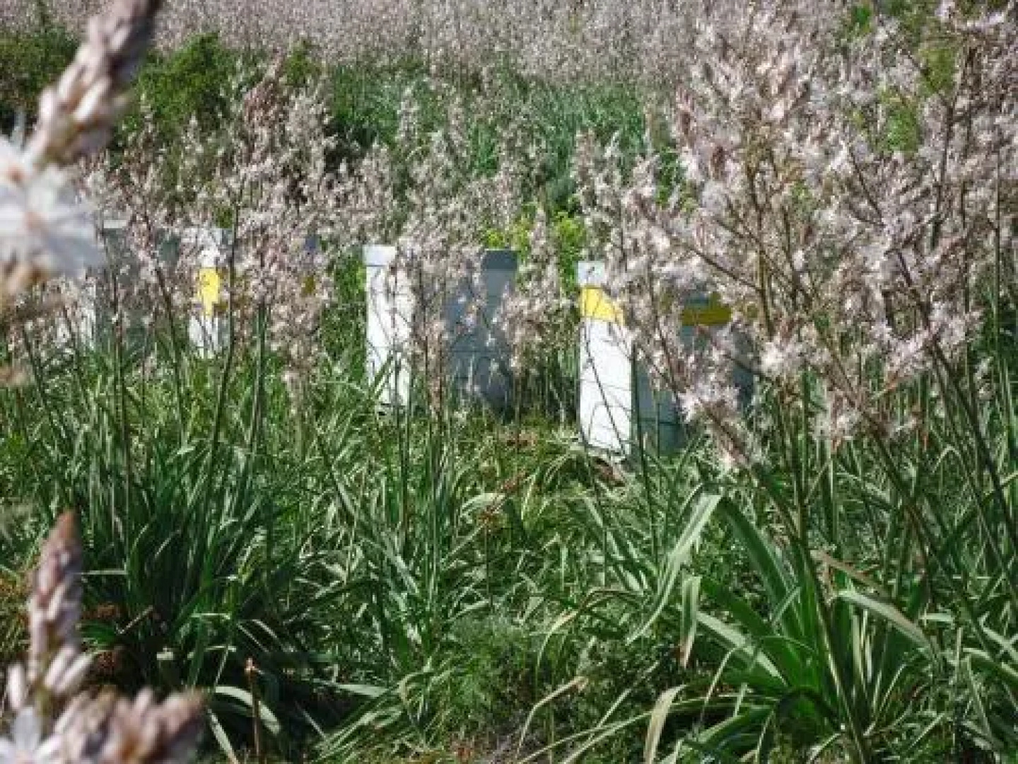 Inde Noi Chambres D'Hote