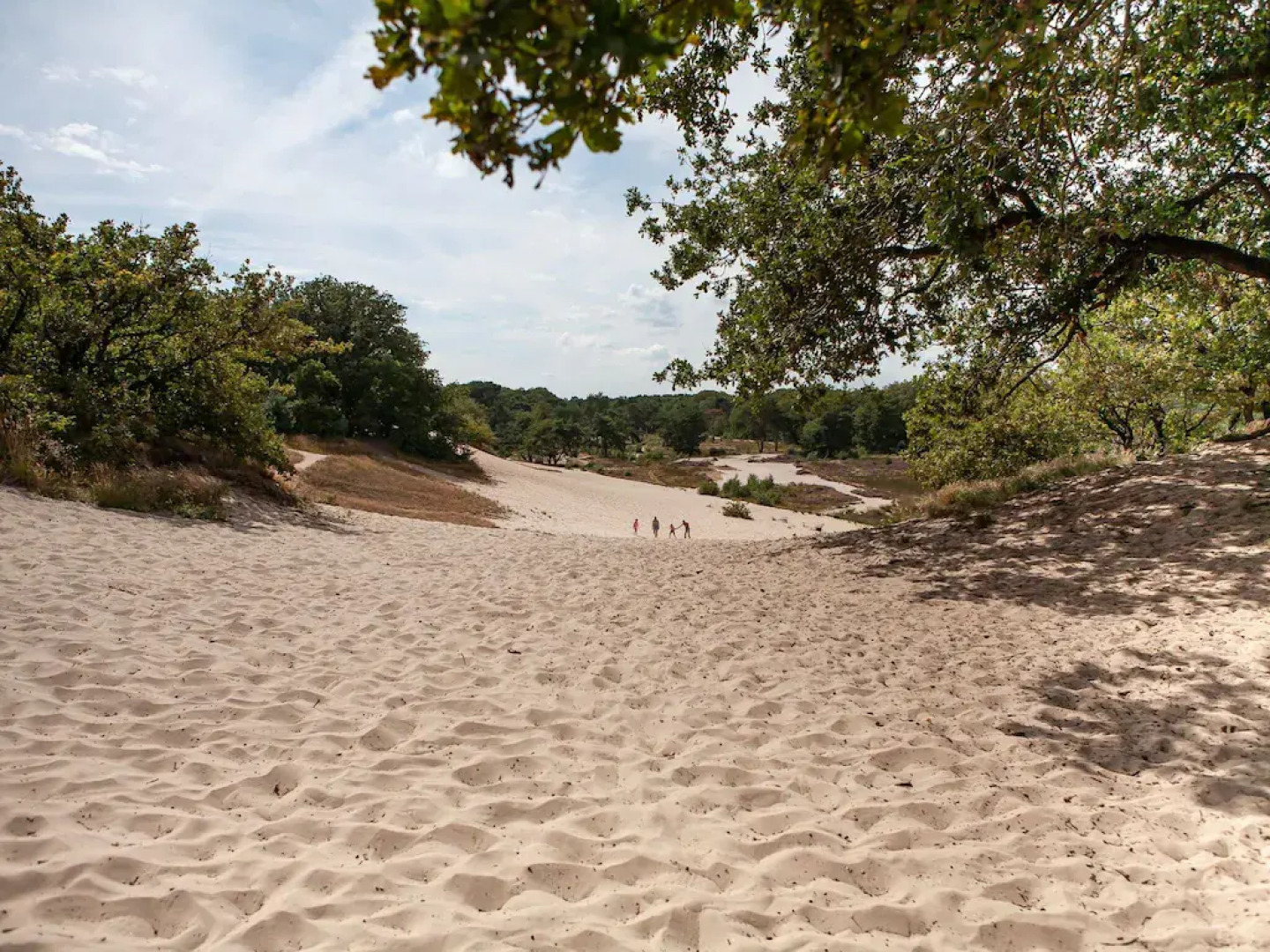 Villa in Netherlands With Sauna & Comfort