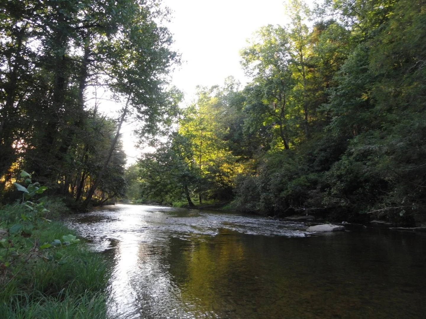 VCI - Southcrest Condominiums #i102