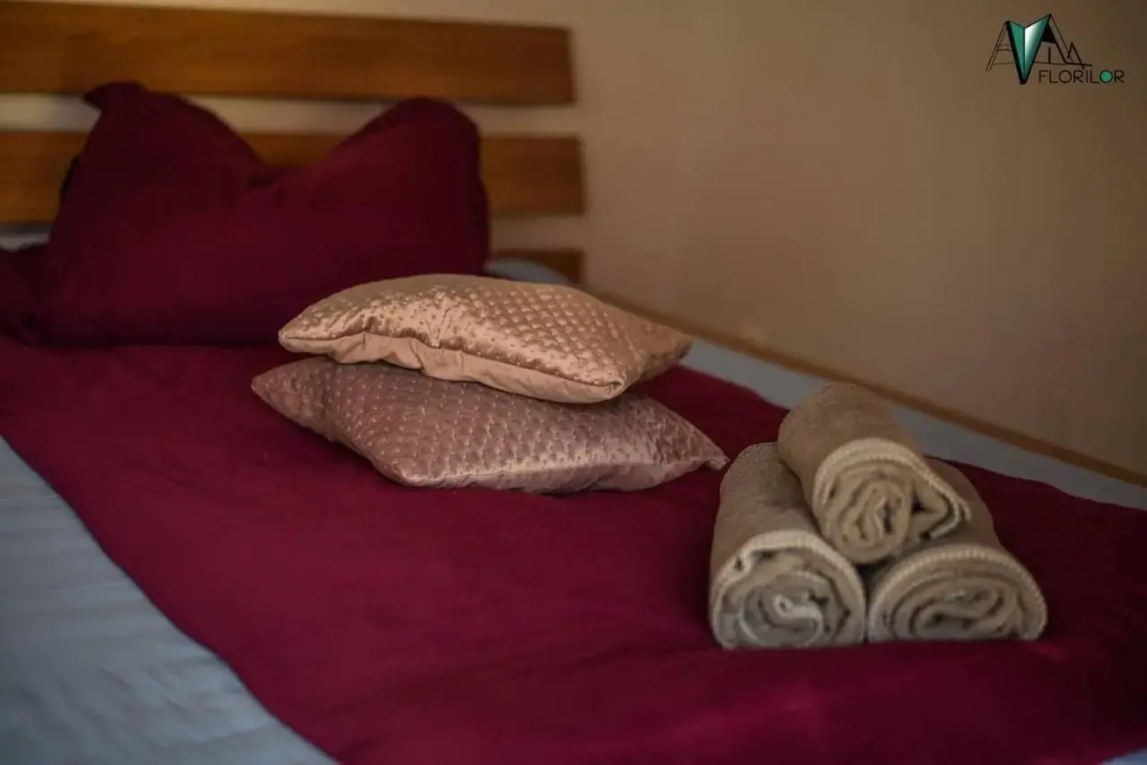 Vila Florilor Buşteni