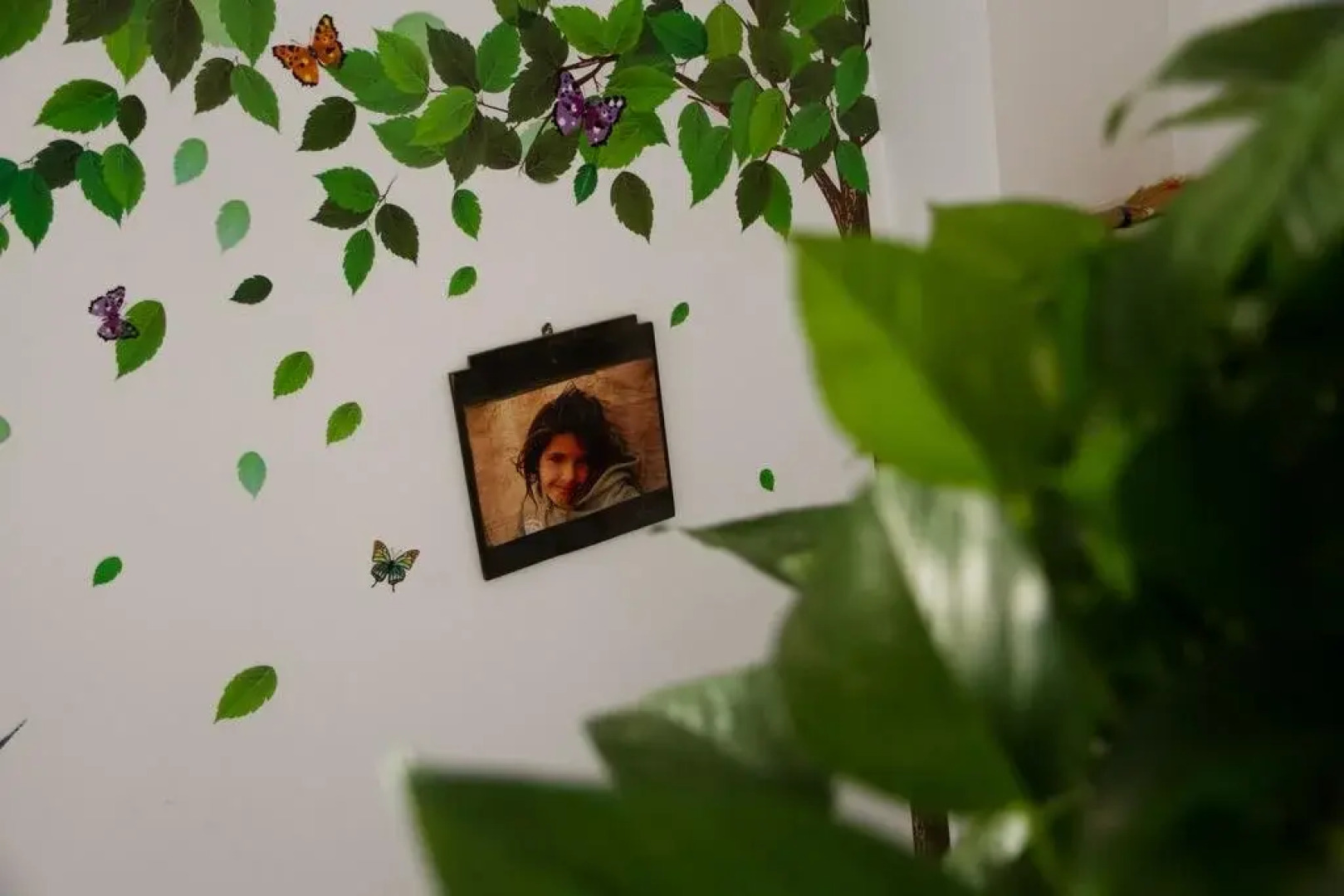 The Moment Youth Hostel