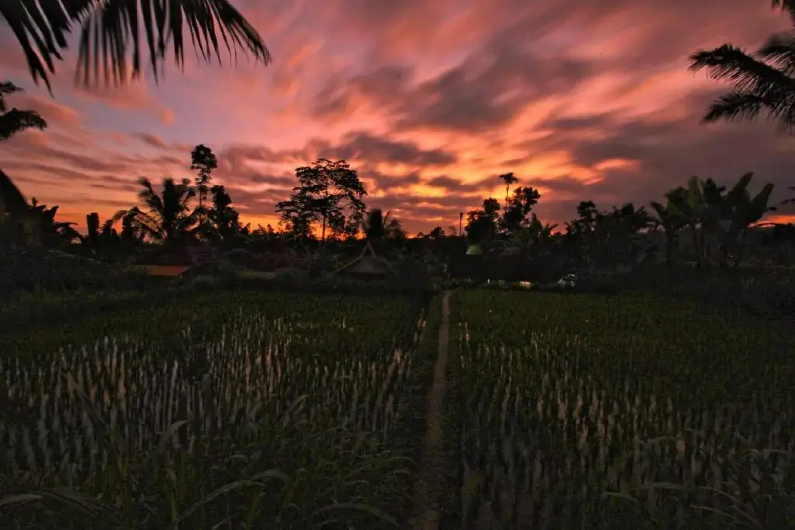 Tetebatu Garden Resort