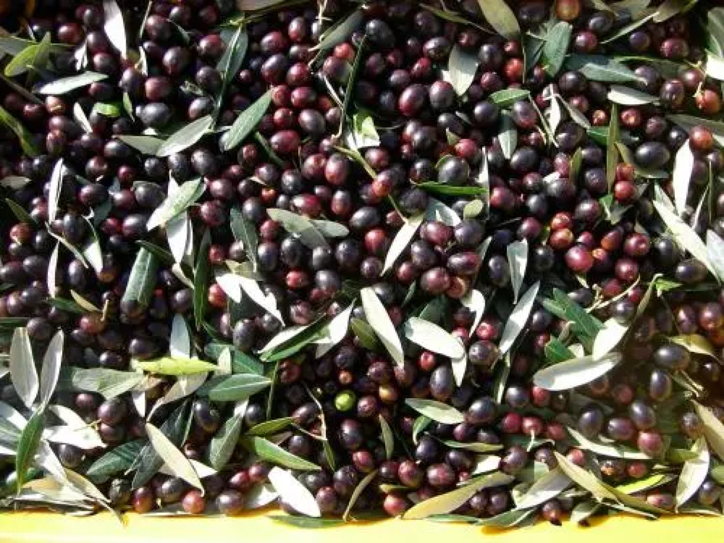 Apartment 45 @ Noble Estate