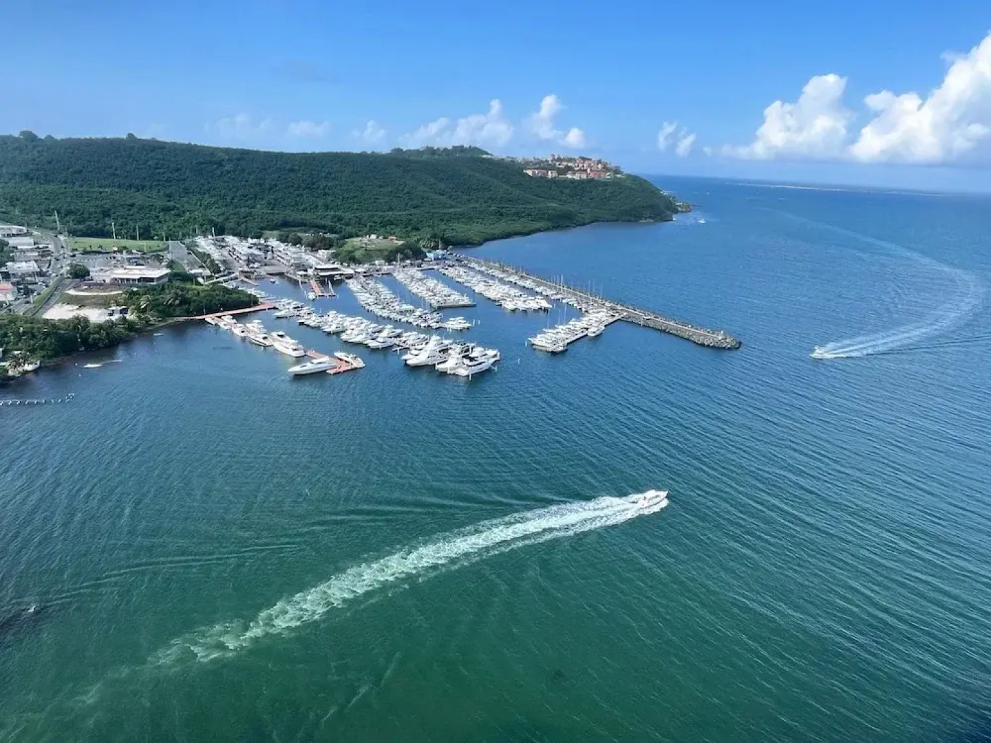 Stunning Marina Views Pool Kayak Island Tours