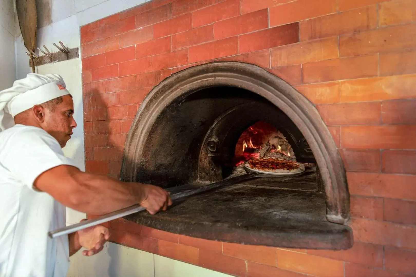 Viva Wyndham Dominicus Beach Resort — All Inclusive