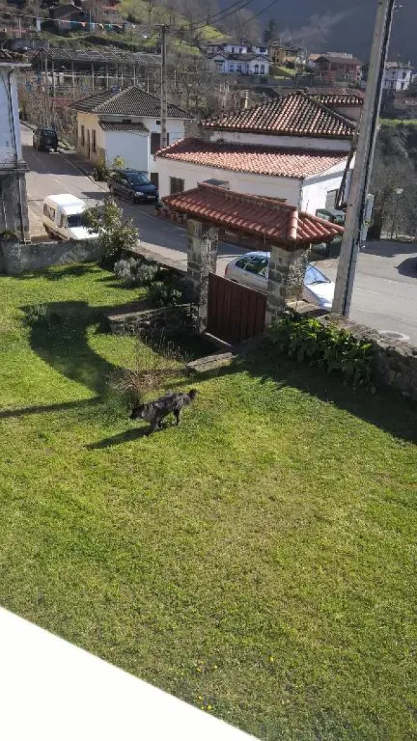 Alborada De San Juan