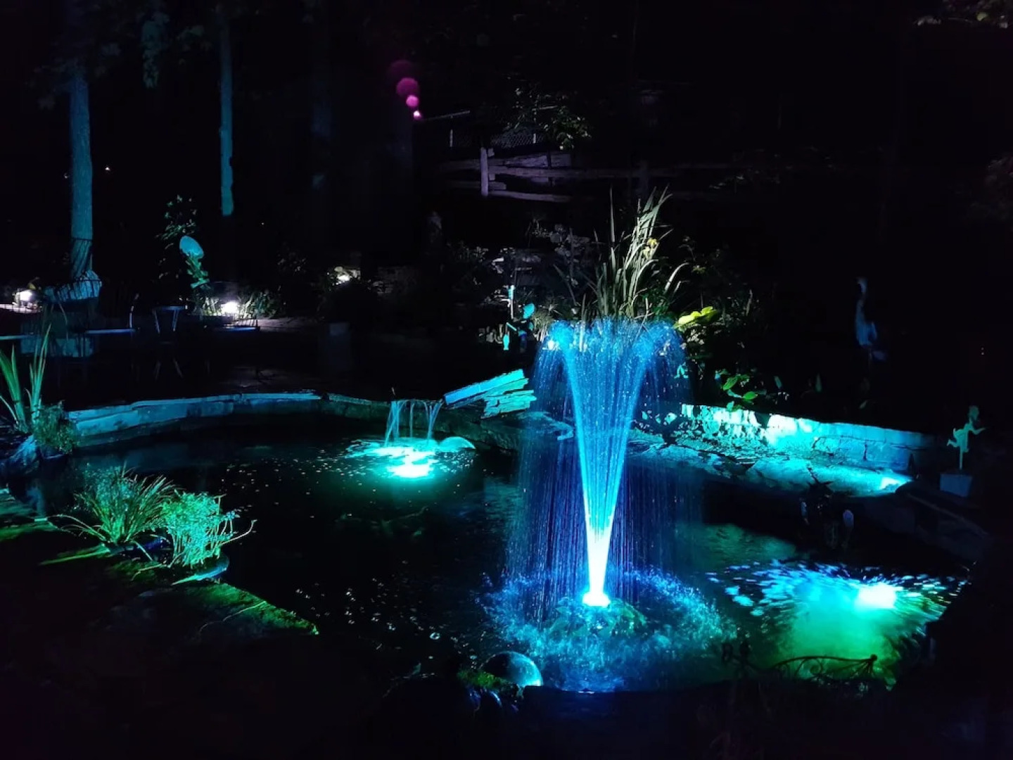 Forest Hill Bed & Breakfast