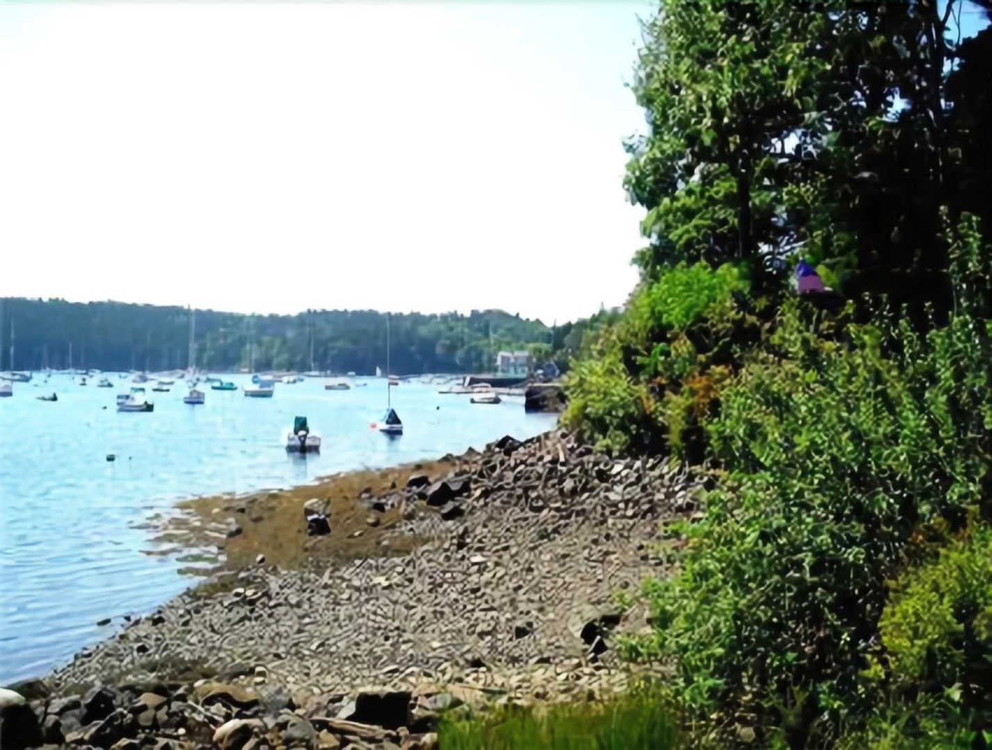 Barnacle on Bucks Harbor - Four Bedroom Home