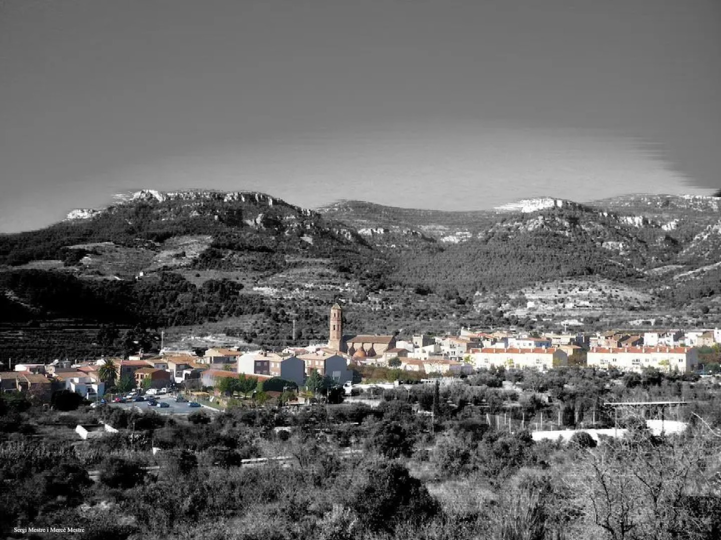 La Tartrana de Cal Munter