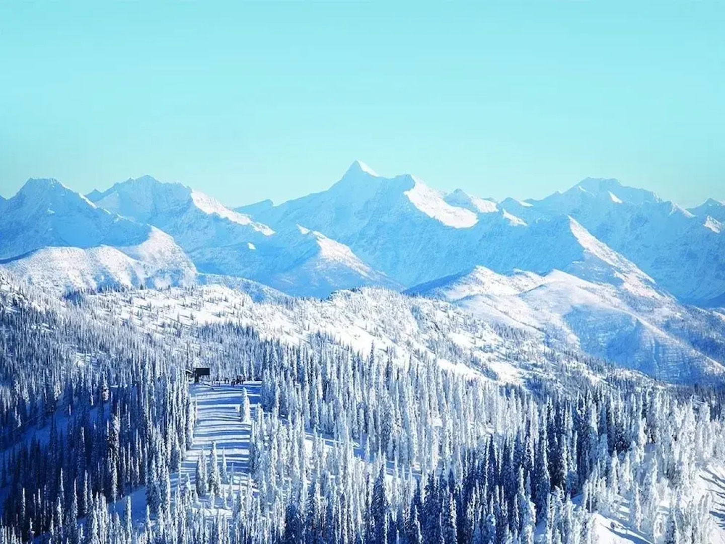 Hibernation House 101 1 Bedroom 1 Bathroom Hotel Room