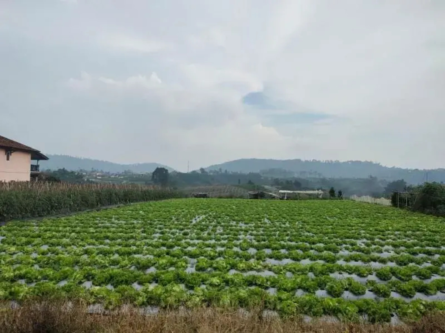 Villa Lembang Bunda By Zuzu