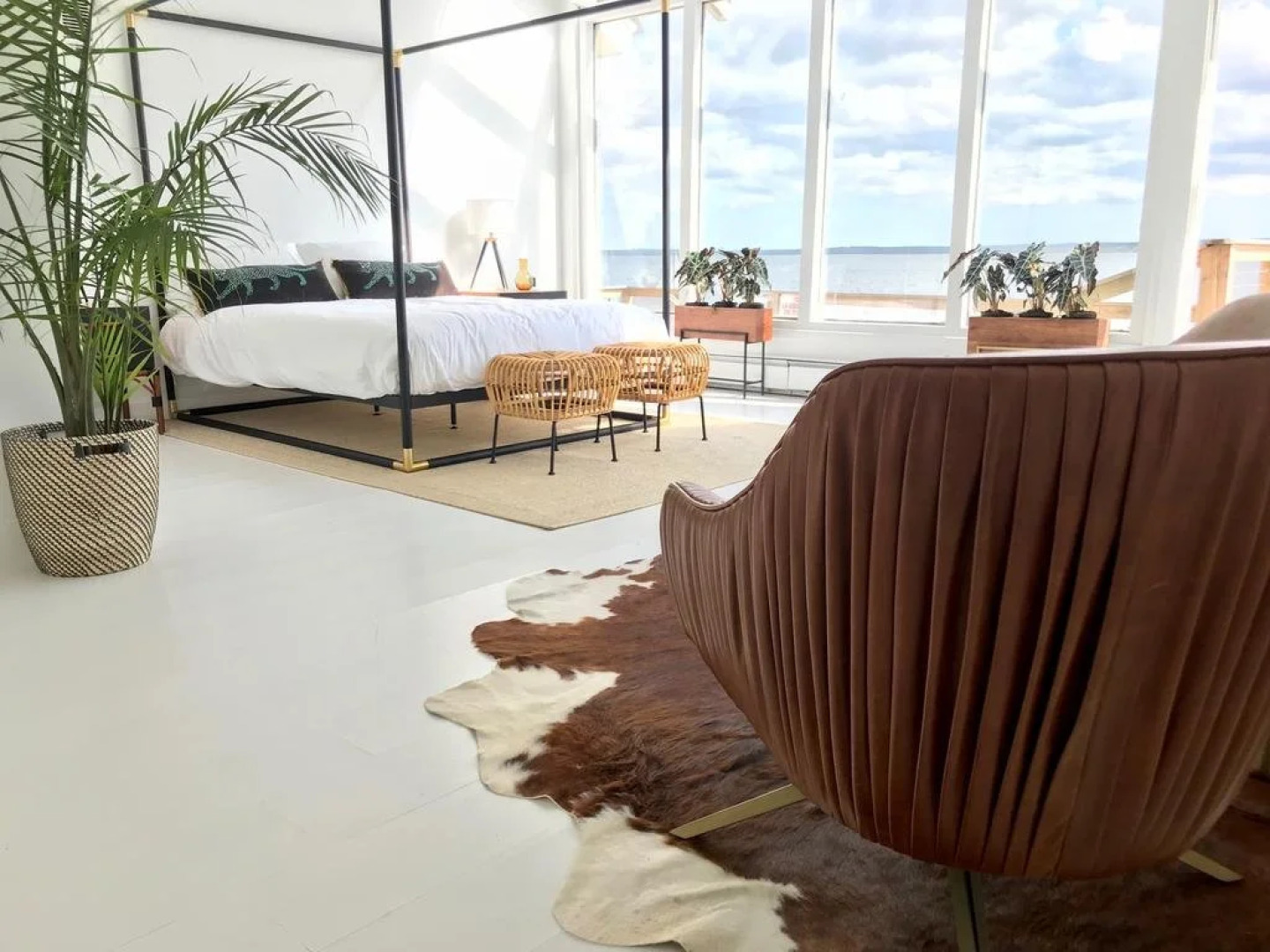 Aqua by American Beech