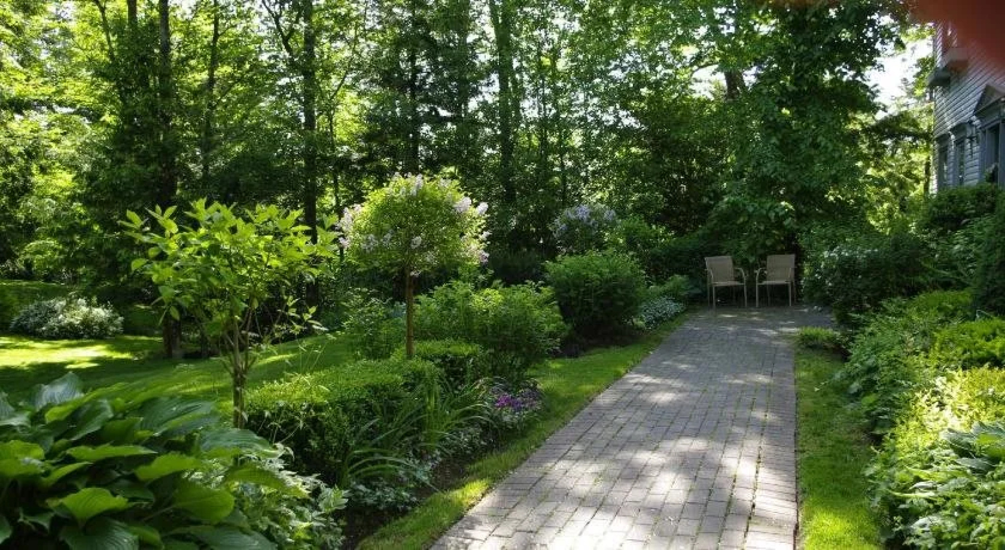 Blue Forest Lane Bed and Breakfast