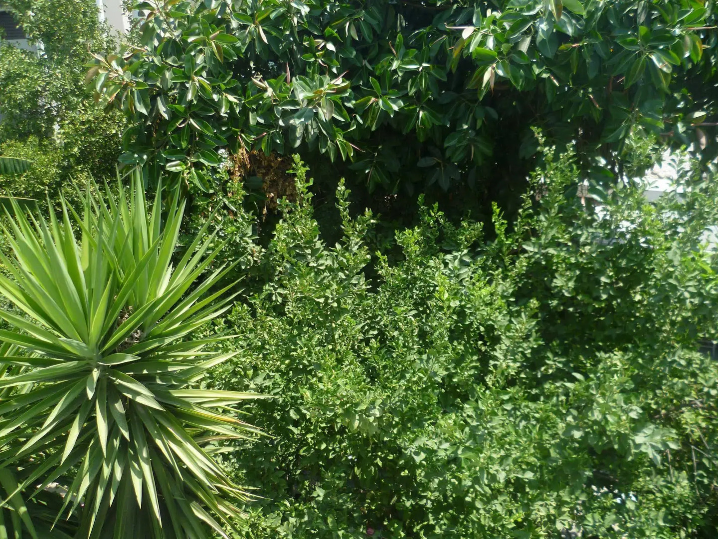 Mamouzelos Hotel Apartments