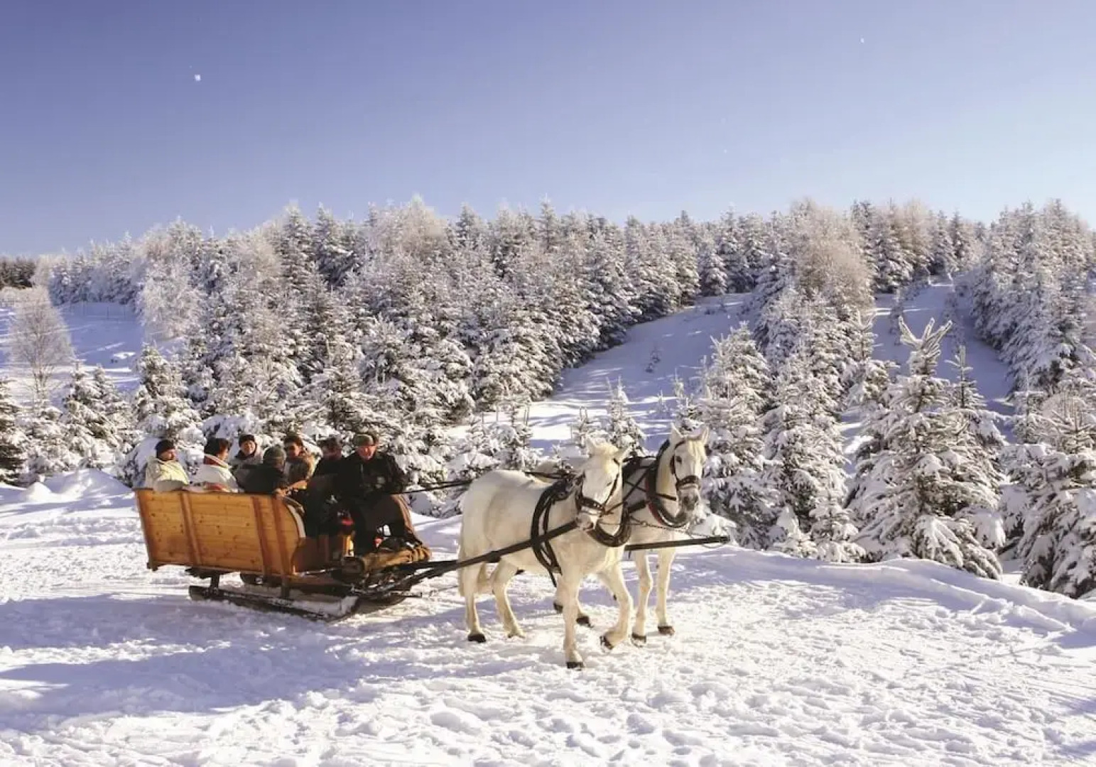 Buntes Haus Seiffen - Hotel Erbgericht