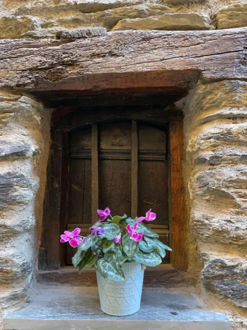 Apartaments Albiñana