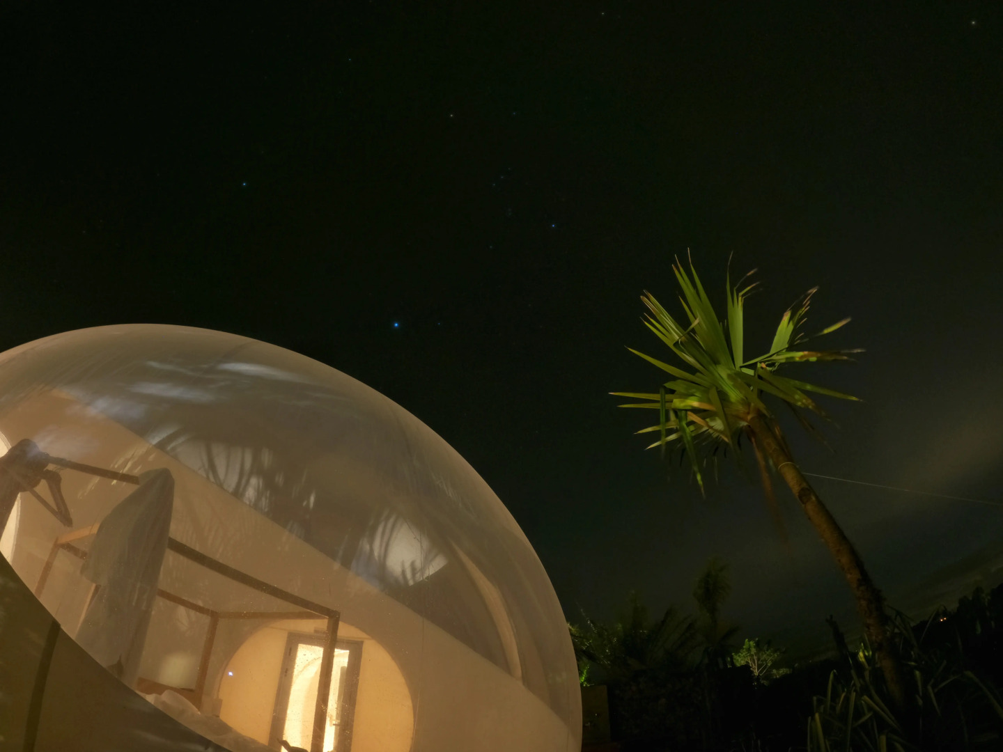Green Land Bubble Glamping