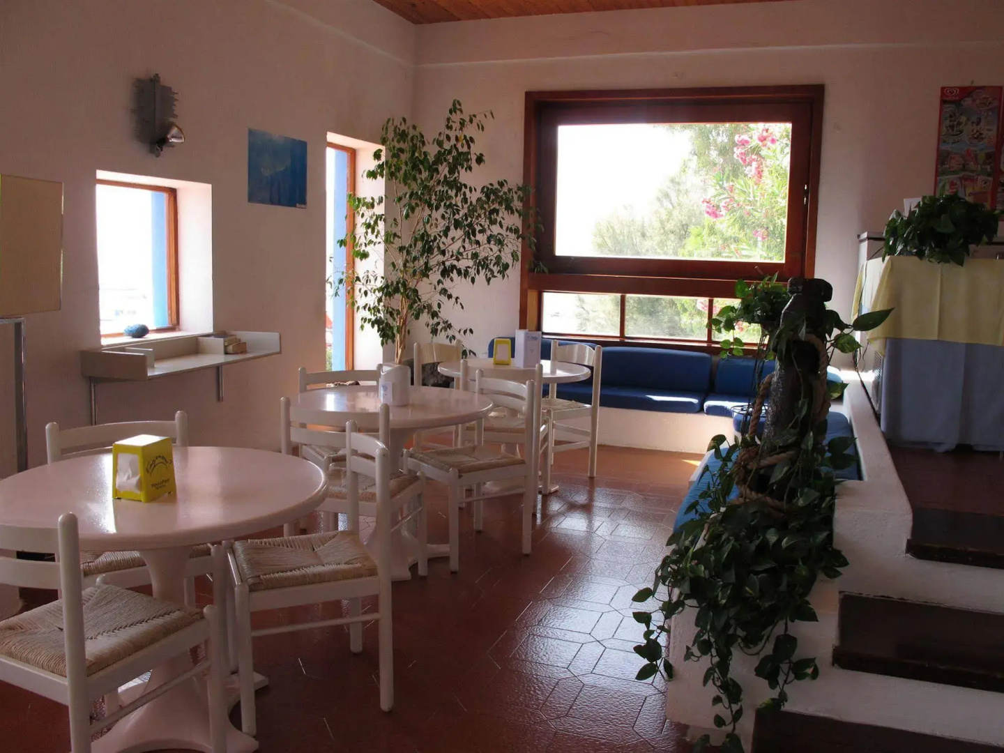Hotel Phenicusa