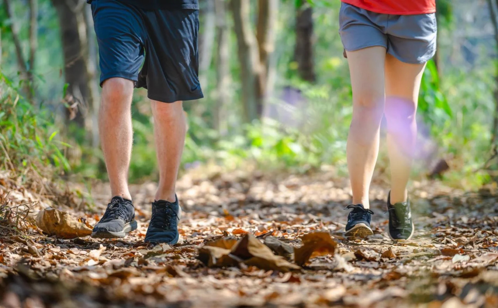 Katiliya Mountain Resort & Spa