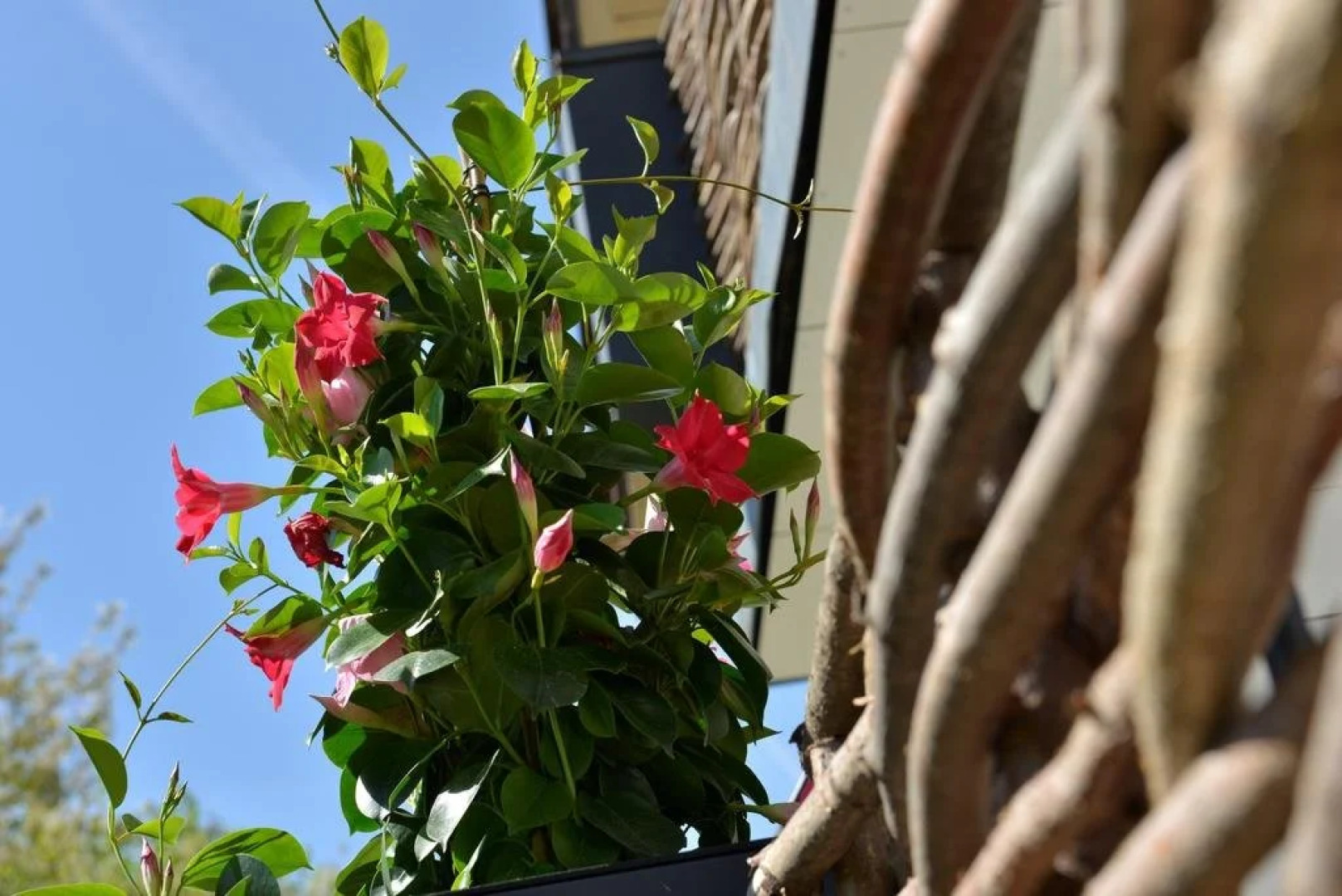 Pension Waldkristall