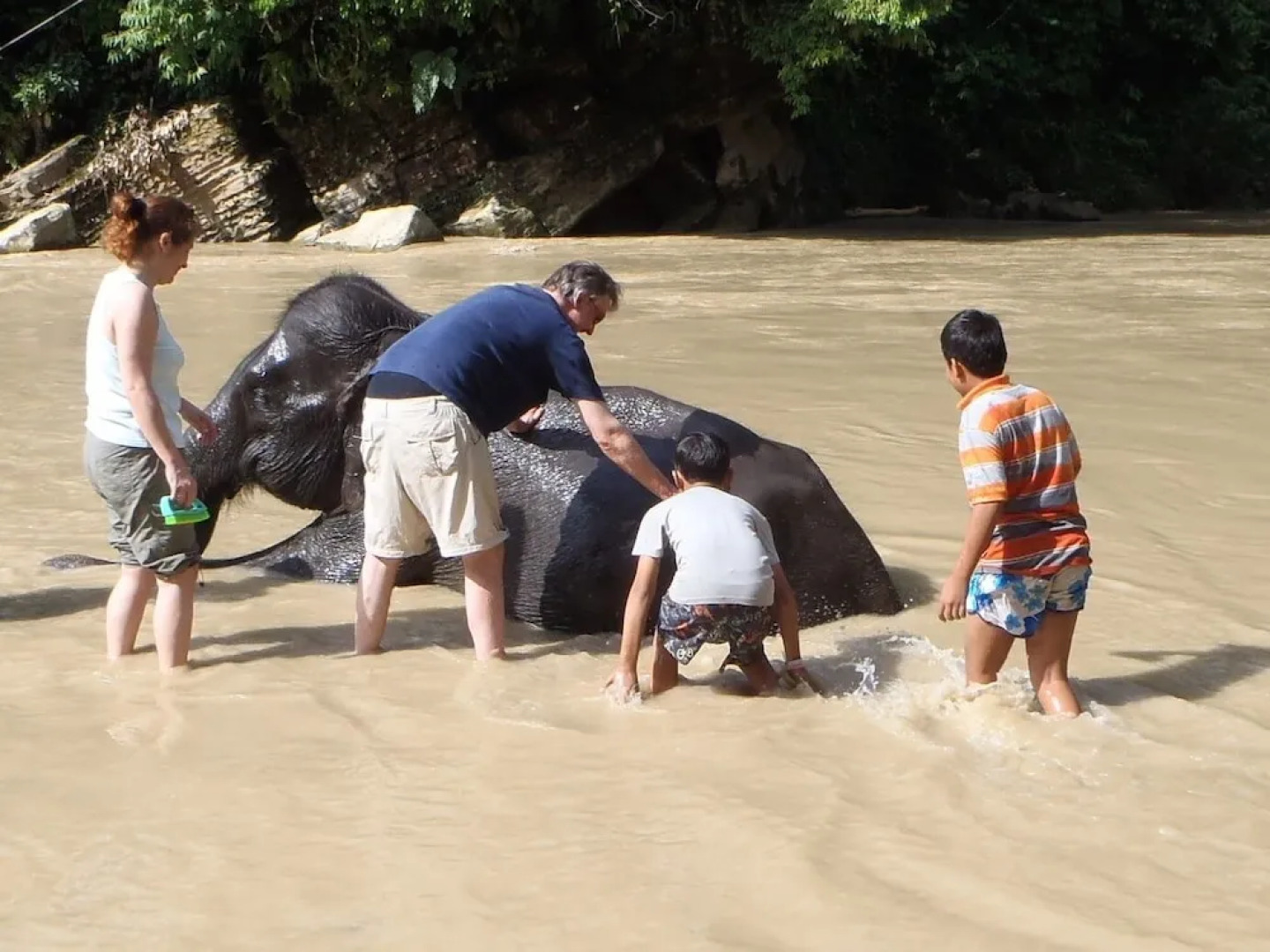 Mountain View Cottages & Villa Tangkahan