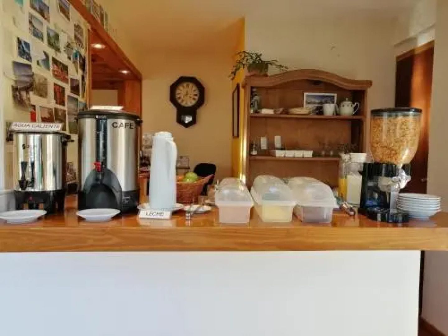 Nothofagus Bed & Breakfast