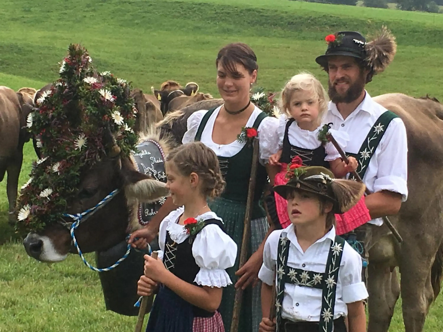 Gemütliche Ferienwohnung Bergwiese, 2-Raum, separates Schlafzimmer, schönen Balkon oder Terrasse, Komfort Ausstattung, ruhige Lage, kostenfrei WLAN, Sauna im Landhaus, Brötchenservice, Parkplatz kostenfrei, Hunde auf Anfrage, Tankstelle für E-Autos