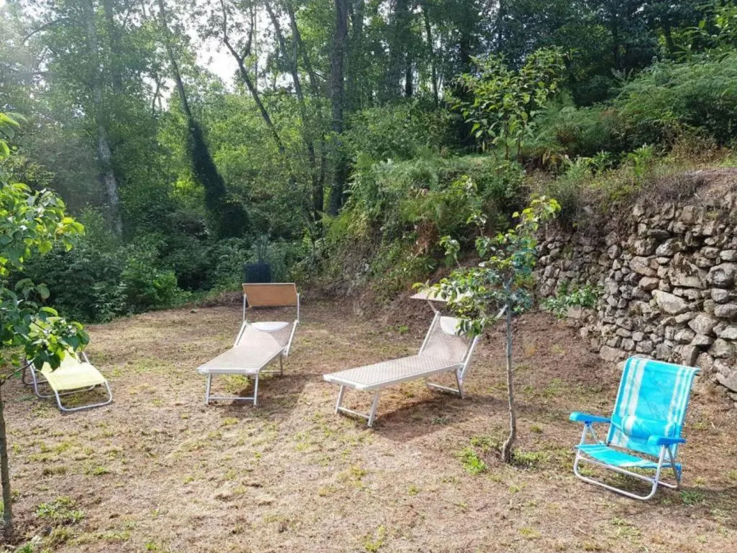 Monterosso Pretty Floor in 5 Terre- Ca di Renzo