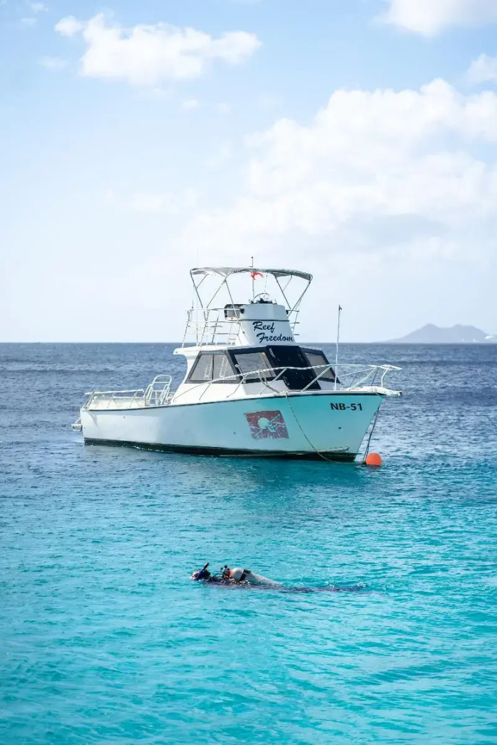 Captain Don's Habitat