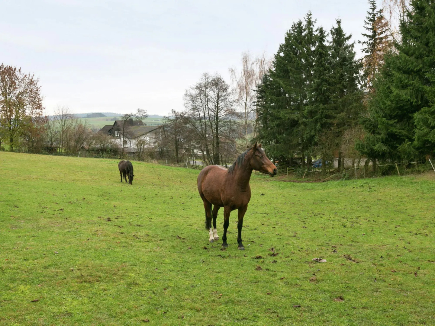 Cozy Holiday Home in Niedersalwey With Sauna