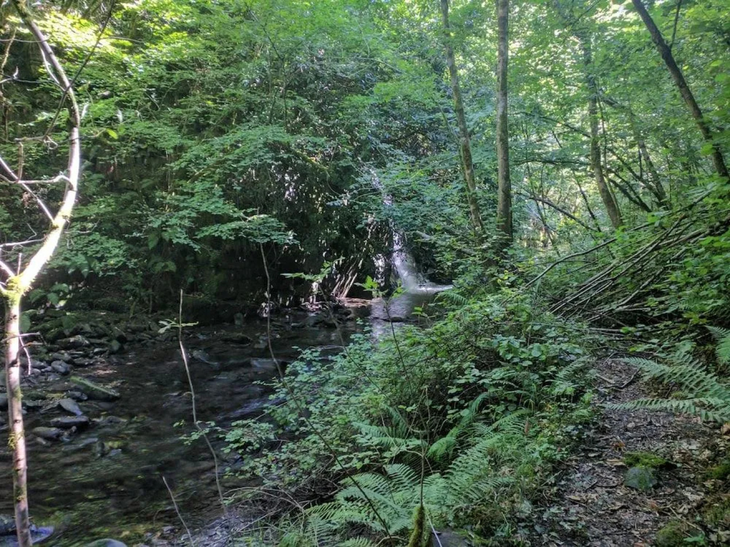 Apartamento Cabañaquinta Senderista