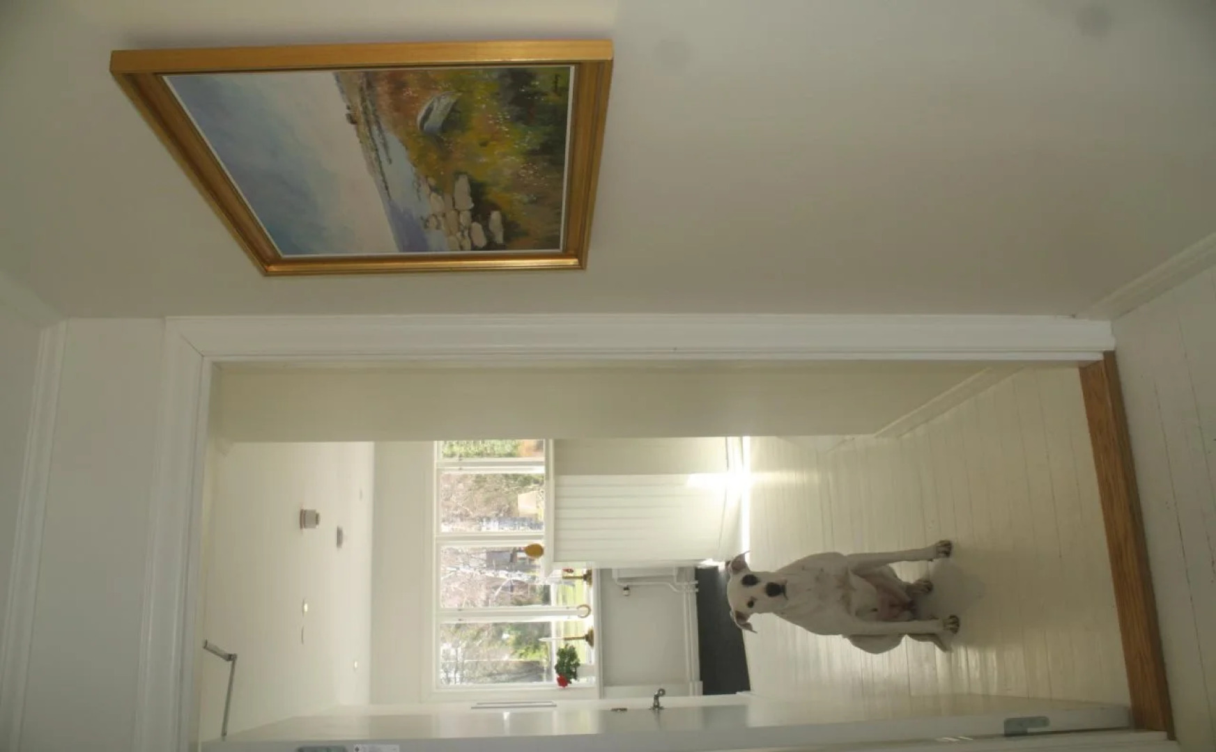 Alvaret Hotel & Hostel