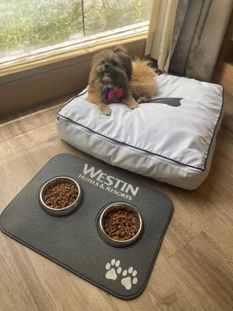 The Westin Sohna Resort & Spa