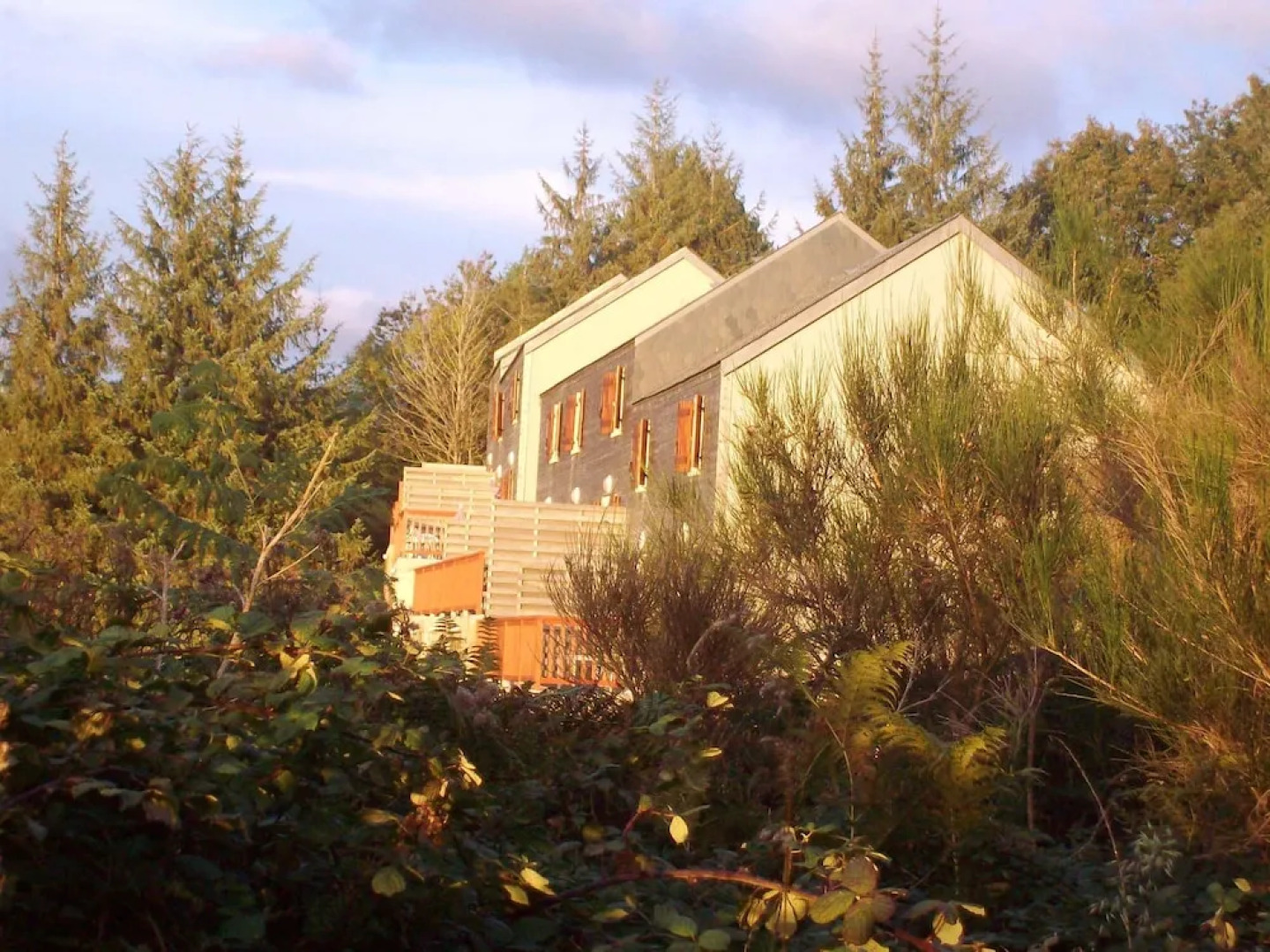 Les Chalets du Gua des Brasses