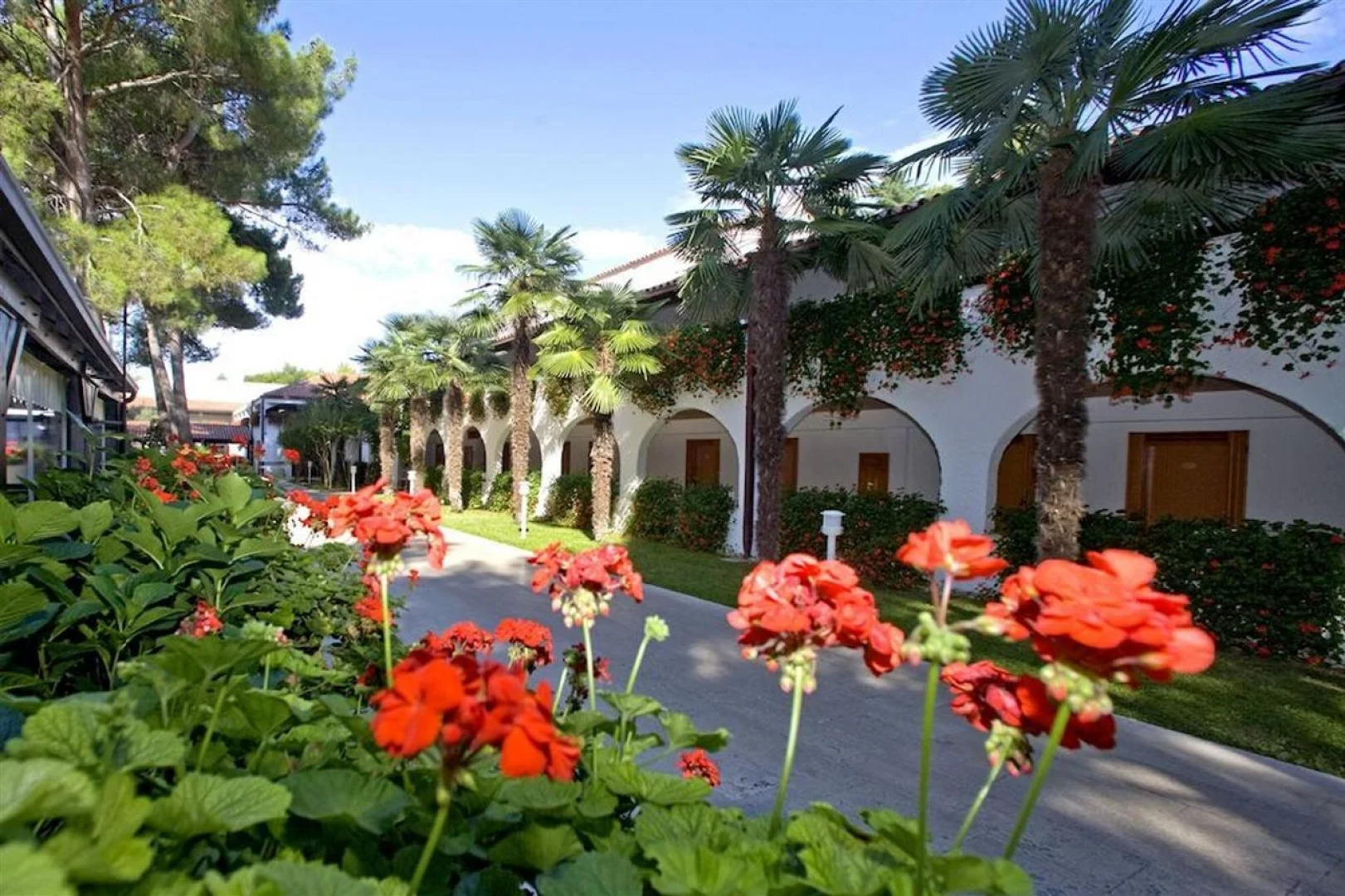 Village Galijot Plava Laguna