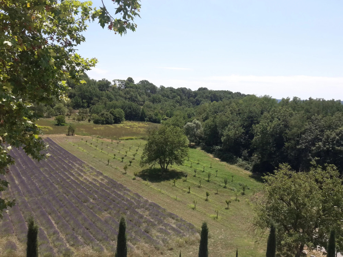 Le Couvent des Minimes, Un Hôtel & Spa L'Occitane en Provence