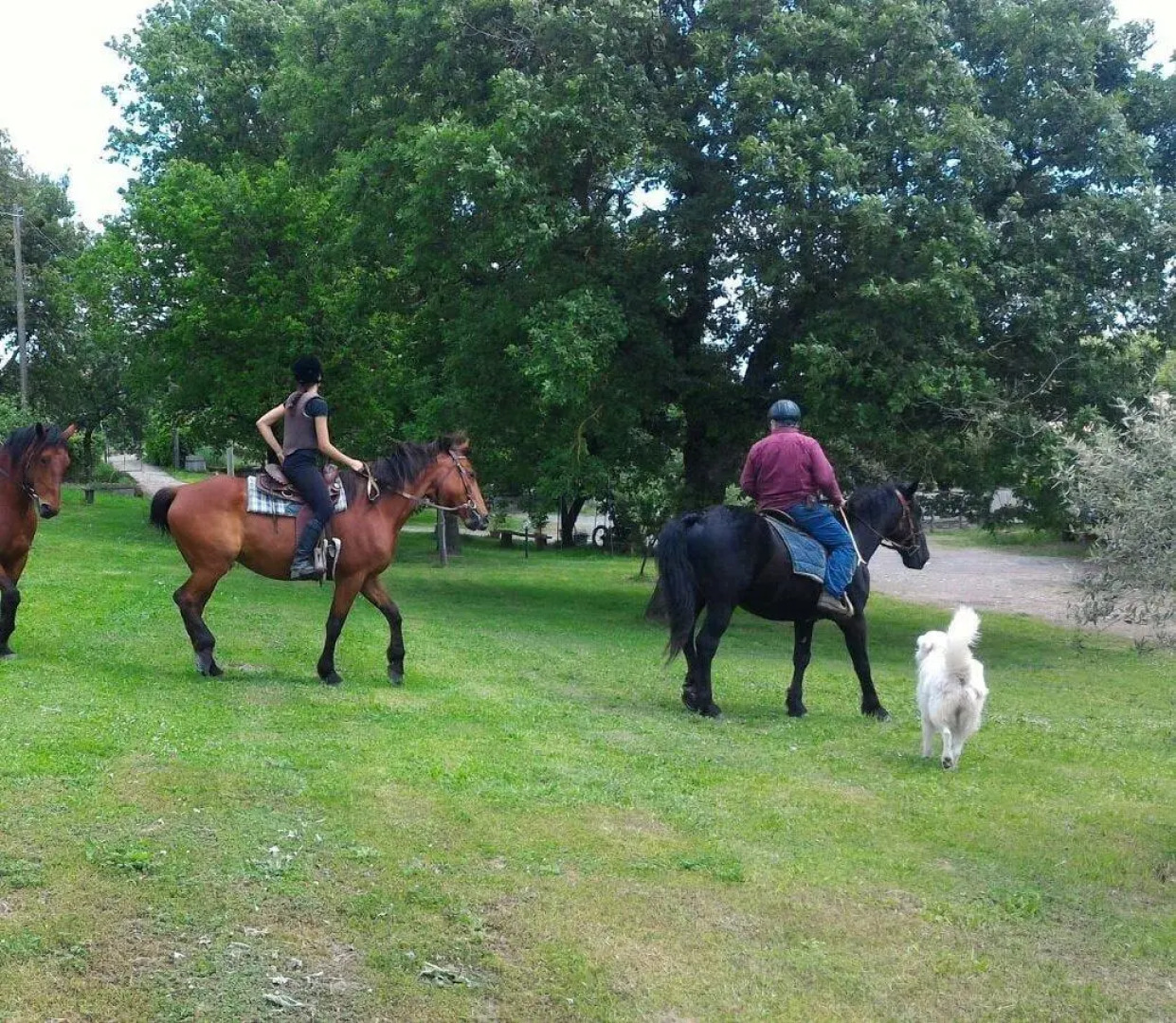 Agriturismo San Filippo